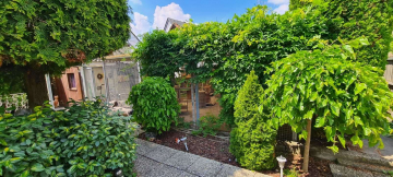 Einzigartige Gelegenheit: Etablierte Katzenpension mit 310 m² überdachtem Außenbereich und Bungalow, 65428 Rüsselsheim am Main, Praxis