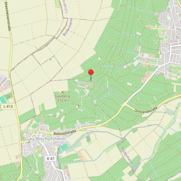 ***Sonniger Weinberg mit ca. 4.953 m² in attraktiver Lage von Bodenheim***, 55294 Bodenheim, Grundstück