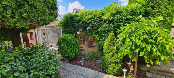 Einzigartige Gelegenheit: Etablierte Katzenpension mit 310 m² überdachtem Außenbereich und Bungalow, 65428 Rüsselsheim am Main, Praxis